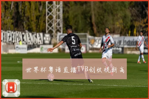 世界杯粤语直播TVB创收视新高