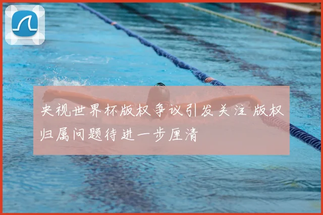 央视世界杯版权争议引发关注 版权归属问题待进一步厘清