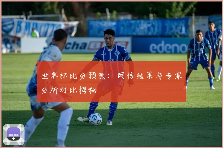 世界杯比分预测：网传结果与专家分析对比揭秘