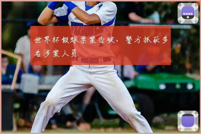世界杯假球票案告破，警方抓获多名涉案人员