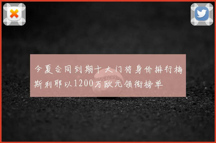 今夏合同到期十大门将身价排行梅斯利耶以1200万欧元领衔榜单
