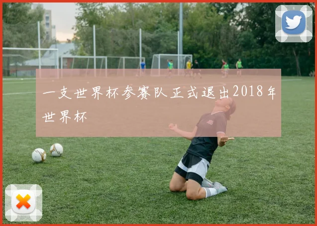 一支世界杯参赛队正式退出2018年世界杯