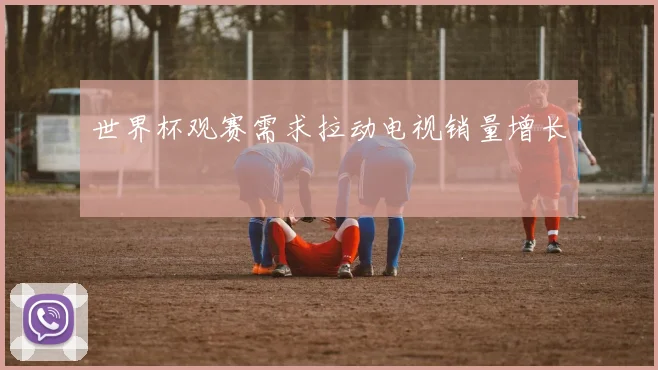 世界杯观赛需求拉动电视销量增长