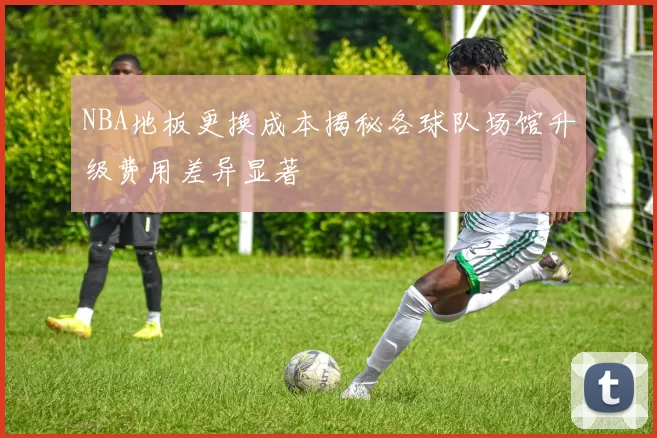NBA地板更换成本揭秘各球队场馆升级费用差异显著