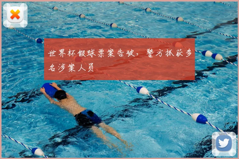 世界杯假球票案告破，警方抓获多名涉案人员