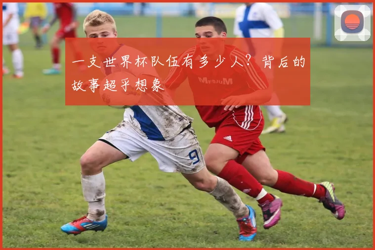 一支世界杯队伍有多少人？背后的故事超乎想象