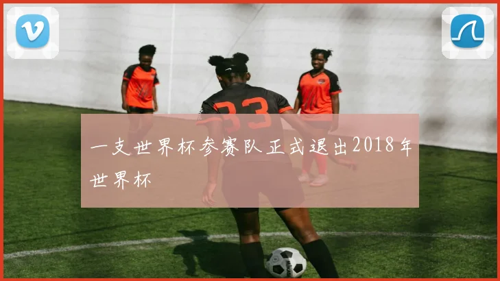 一支世界杯参赛队正式退出2018年世界杯