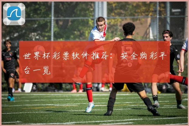 世界杯彩票软件推荐：安全购彩平台一览