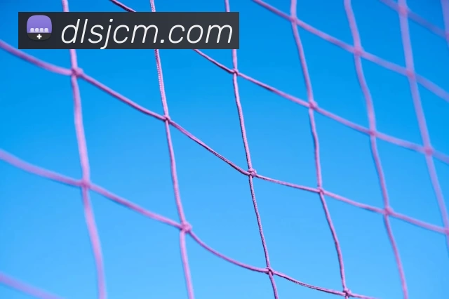 华体会体育APP 封面图